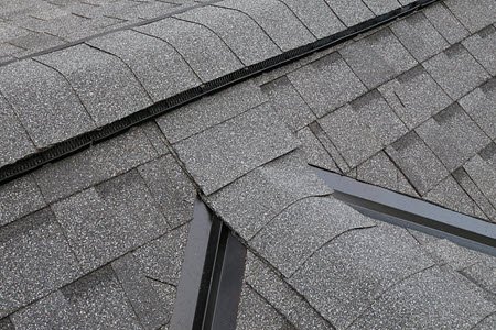 Roof Repair Service in La Vergne, TN